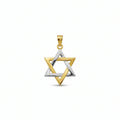 2-Tone Gold Star of David Pendant